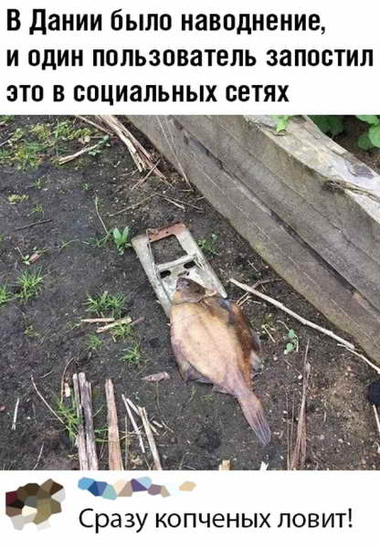 Прикольчики 21.02.20