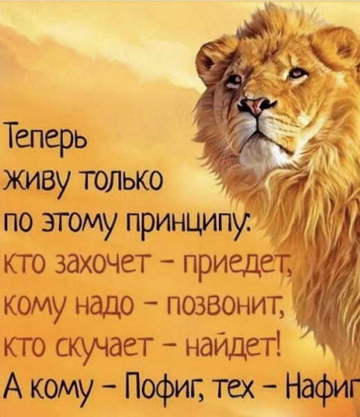 Алкоголизм, ожирение и удаленка: как выживают люди на карантине. Лучшие мемы в Сети Алкоголизм, ожирение и удаленка: как выживают люди на карантине. Лучшие мемы в Сети