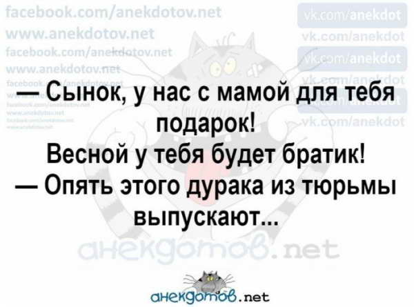 Лучшие анекдоты