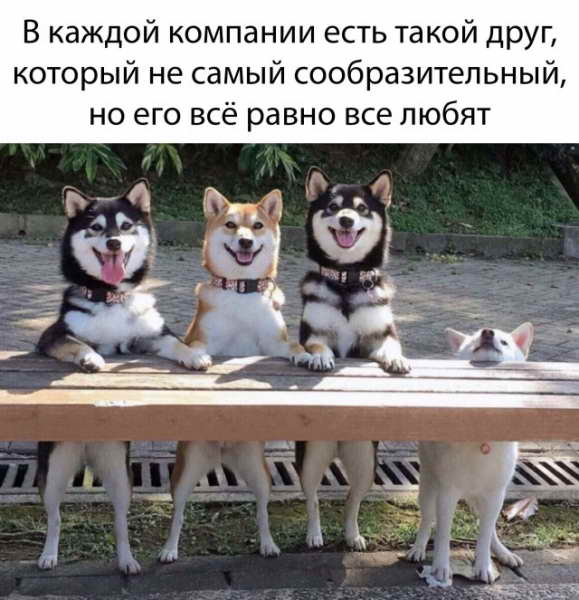Смешные картинки 20 мая 2020 Смешные картинки 20 мая 2020