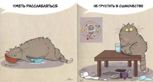 Смотрите и учитесь!