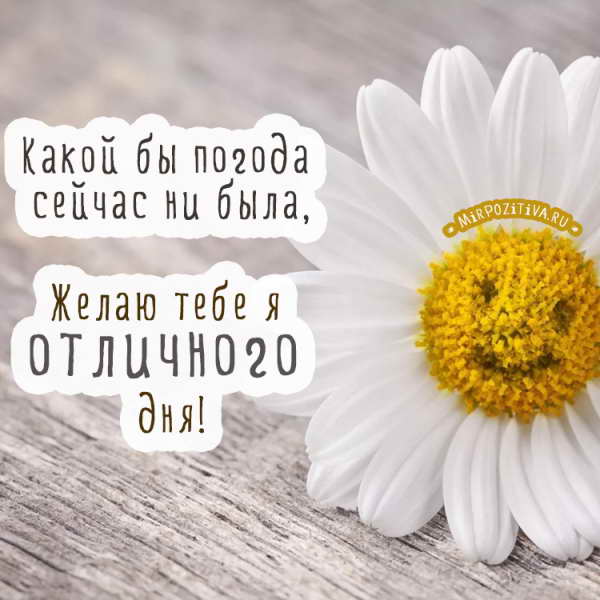 Какой бы погода сейчас ни была, Желаю тебе я отличного дня!