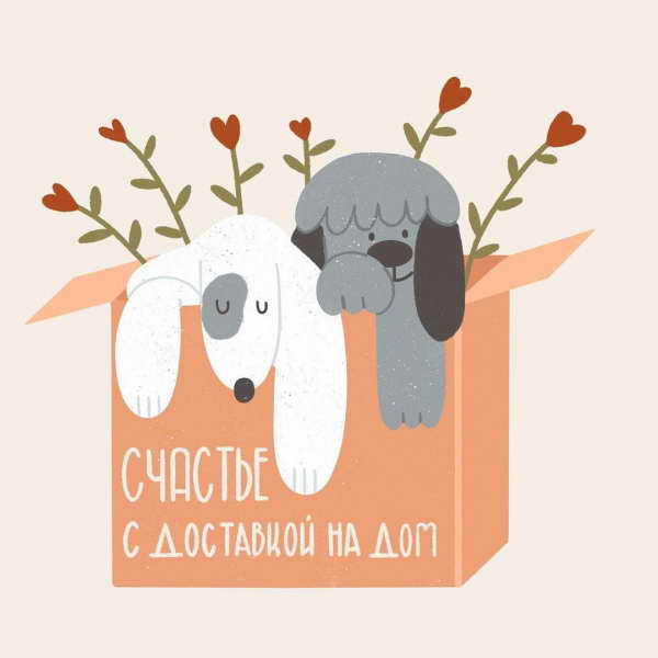 Без кота жизнь не та! Организаторы проекта «Счастье с доставкой на дом» проведут второй онлайн-марафон