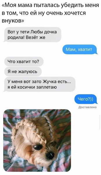 Прикольчики 21.02.20