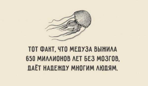 Как раз то что нужно! :-)