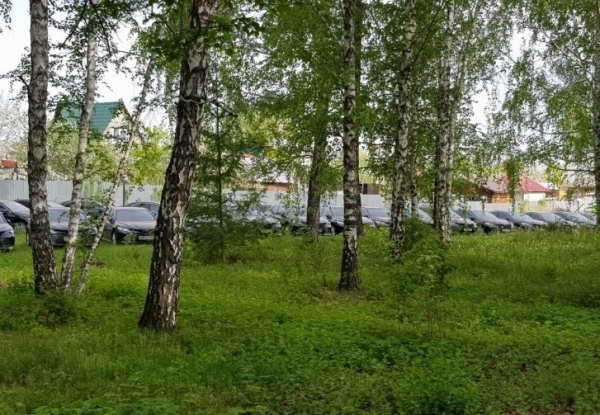 Toyota Camry в лесу Челябинска Toyota Camry в лесу Челябинска
