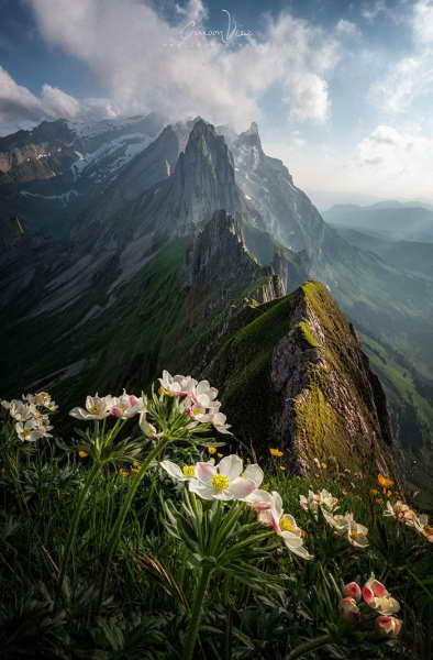 Самые крутые фотографии природы с фотоконкурса «Landscape Photographer of the Year 2018» Самые крутые фотографии природы с фотоконкурса «Landscape Photographer of the Year 2018»