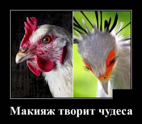 Демотиватор про макияж