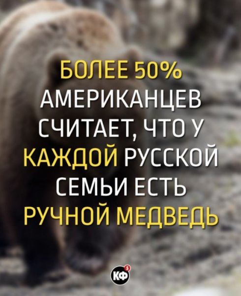 Краткие факты