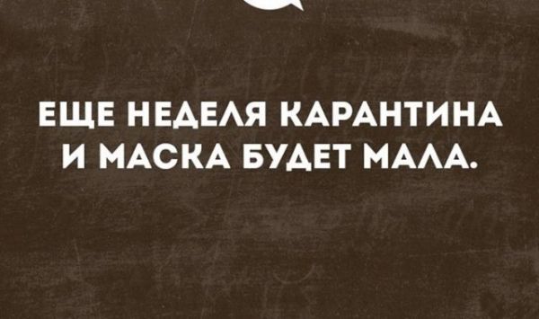 Алкоголизм, ожирение и удаленка: как выживают люди на карантине. Лучшие мемы в Сети