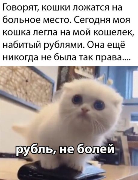 Веселые картинки вечер 10 марта Веселые картинки вечер 10 марта