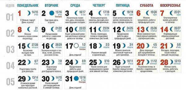 Лунный календарь огородника и садовода на январь 2020 года