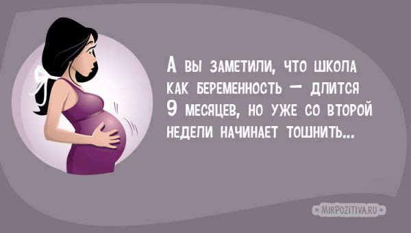 история