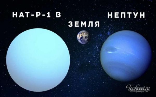 Остановите там, я сойду!