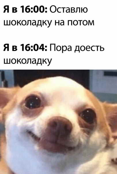 Смешные картинки 20 мая 2020 Смешные картинки 20 мая 2020