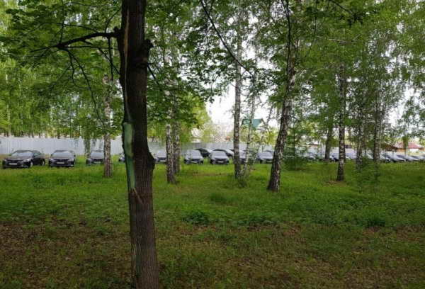 Toyota Camry в лесу Челябинска Toyota Camry в лесу Челябинска