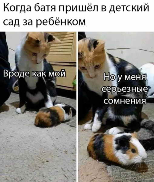 Смешные картинки 20 мая 2020 Смешные картинки 20 мая 2020