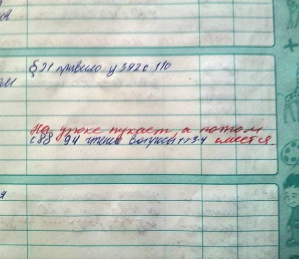 16 записей в дневнике, от смеха можно надорвать живот