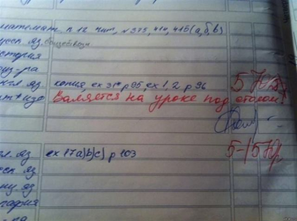 16 записей в дневнике, от смеха можно надорвать живот