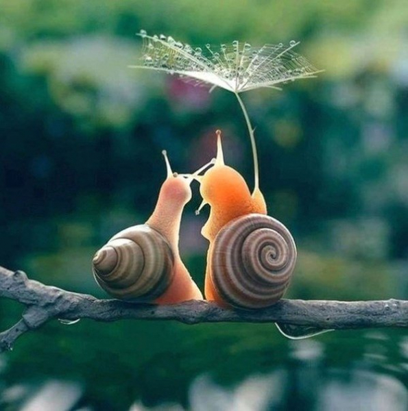 Crazy Art