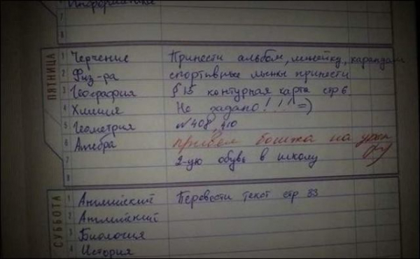 16 записей в дневнике, от смеха можно надорвать живот