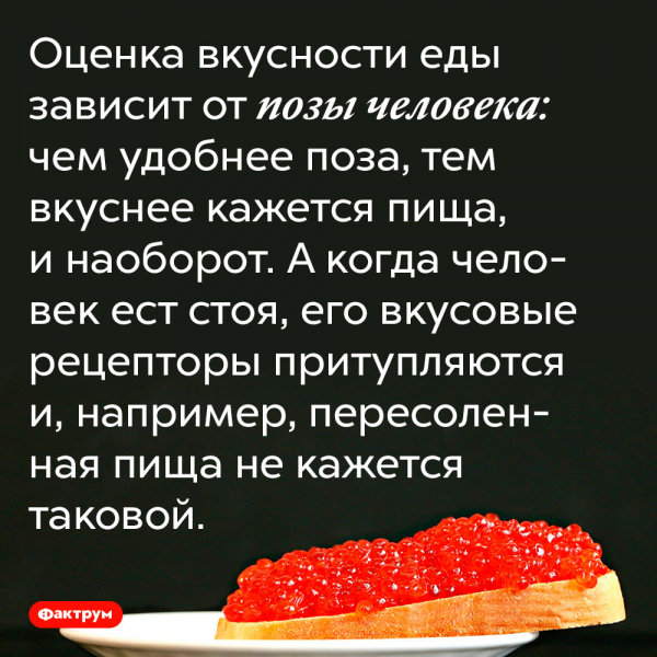 Учебный год заканчивается скоро родители узнают свои оценки приколы картинки