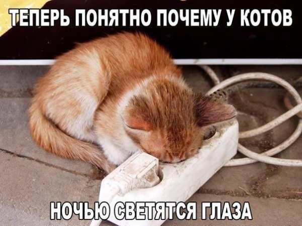 Необычные картинки с пожеланиями доброй ночи