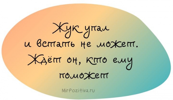 про жука