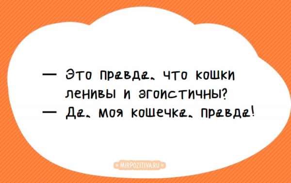 — Это правда, что кошки ленивы и эгоистичны? — Да, моя кошечка, правда!
