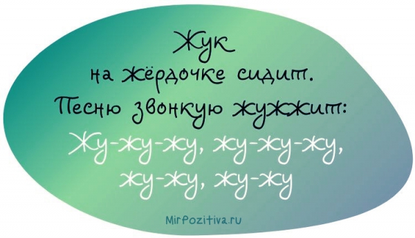 про жука