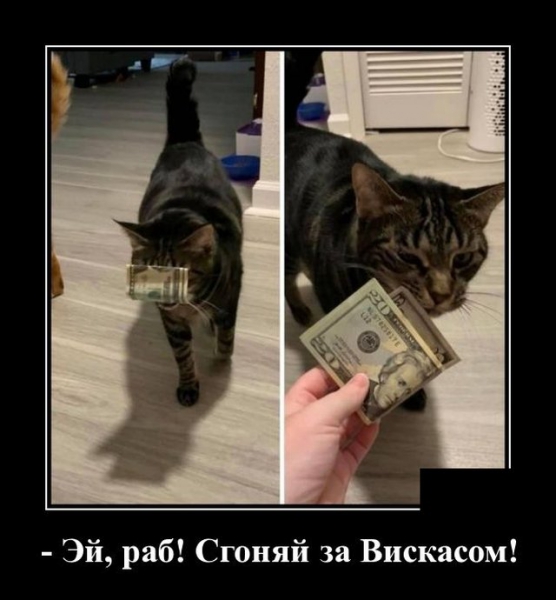 Демотиваторы 9 июля 2020