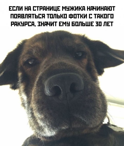 Смешные фото вечер 9 июля 2020