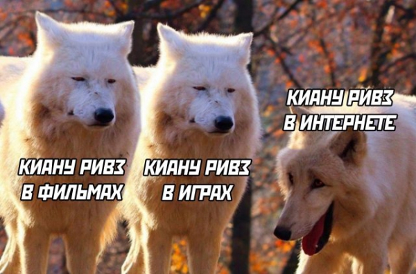 Смешные картинки 8 июля 2020 Смешные картинки 8 июля 2020