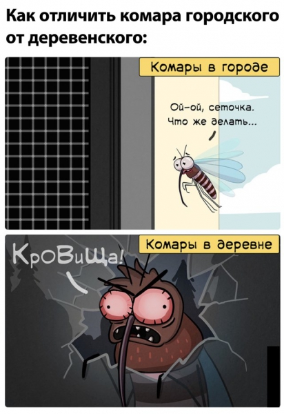 Смешные фото вечер 9 июля 2020