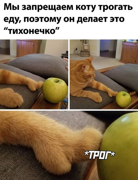 Смешные фото вечер 9 июля 2020