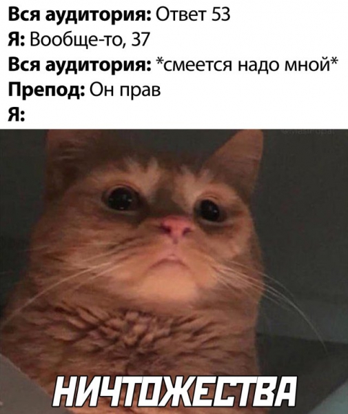 Смешные фото 6 июля 2020