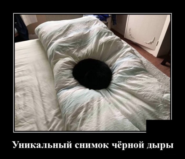 Демотиваторы 9 июля 2020