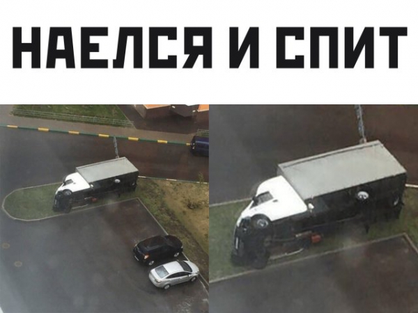 Смешные картинки 8 июля 2020 Смешные картинки 8 июля 2020