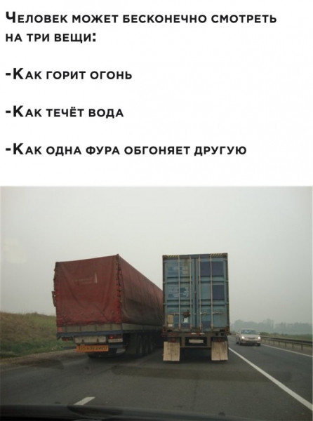 Смешные фото вечер 9 июля 2020