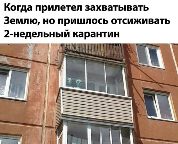 Коронавирус, работа и деньги: лучшие мемы из Сети Коронавирус, работа и деньги: лучшие мемы из Сети