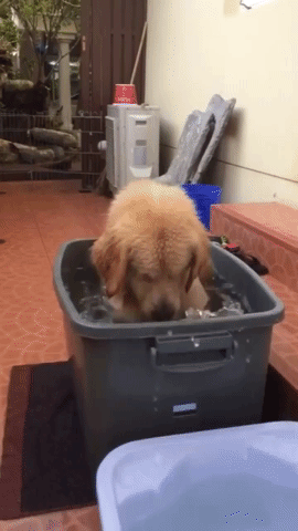  GIF