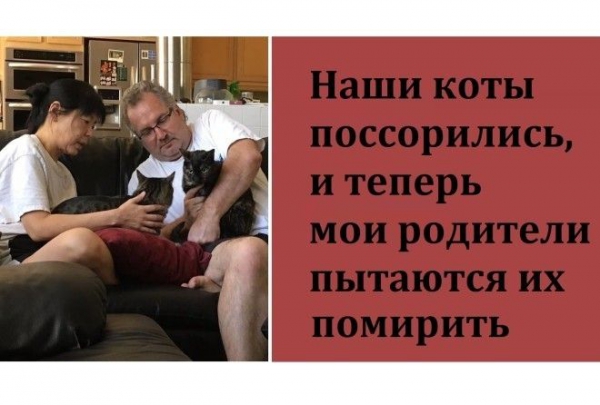 Потрясающе :-D