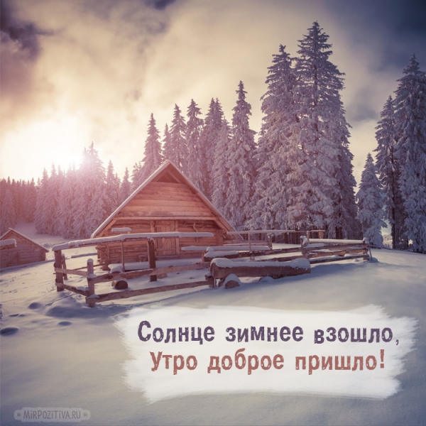 заснеженный дом в лесу
