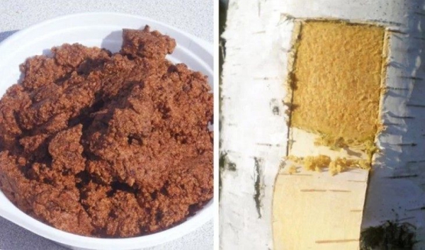 Березовая каша