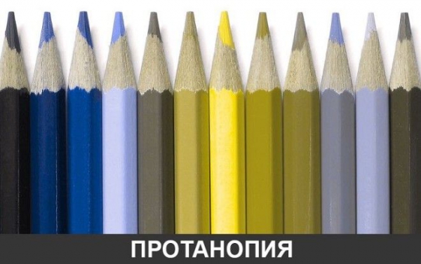SBКак видят мир люди с разными дефектами зрения