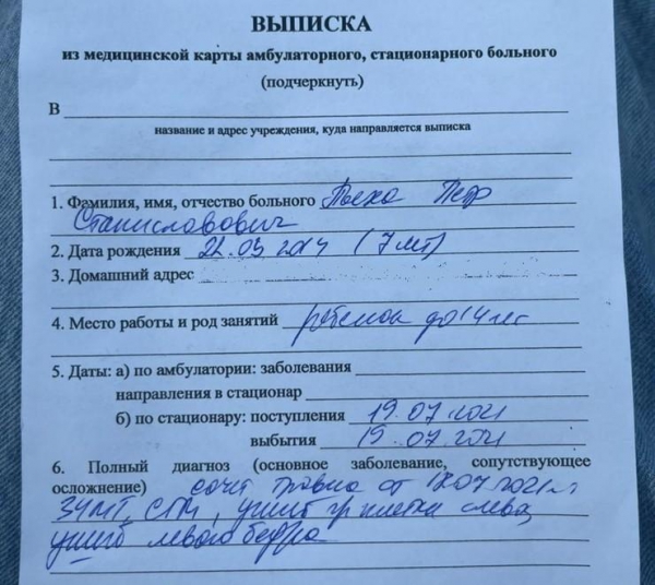 Сына Стаса Пьехи избила соседка по даче