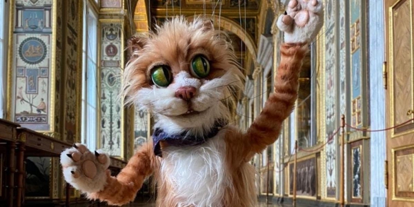 #МузейныйТикТок: кот Сигизмунд проведет экскурсию по Эрмитажу в TikTok