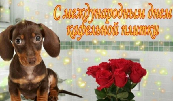 Открытки к странным праздникам – бич семейных чатов