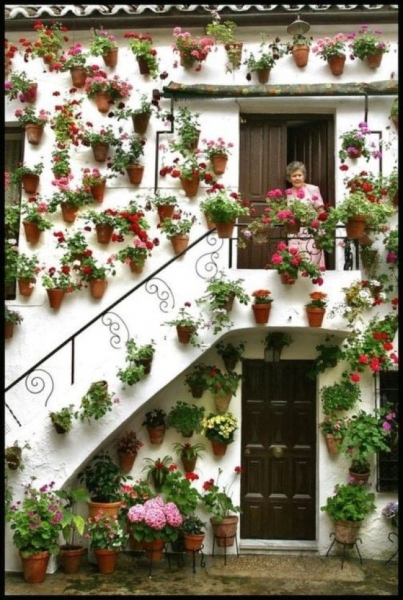 https://akuna-matata.net/wp-content/uploads/2018/05/wsi-imageoptim-0_004-99-504x750.jpg