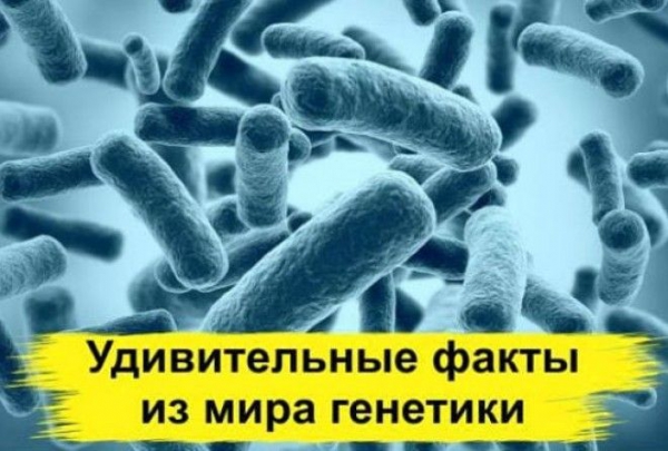 Ну очень интересно!